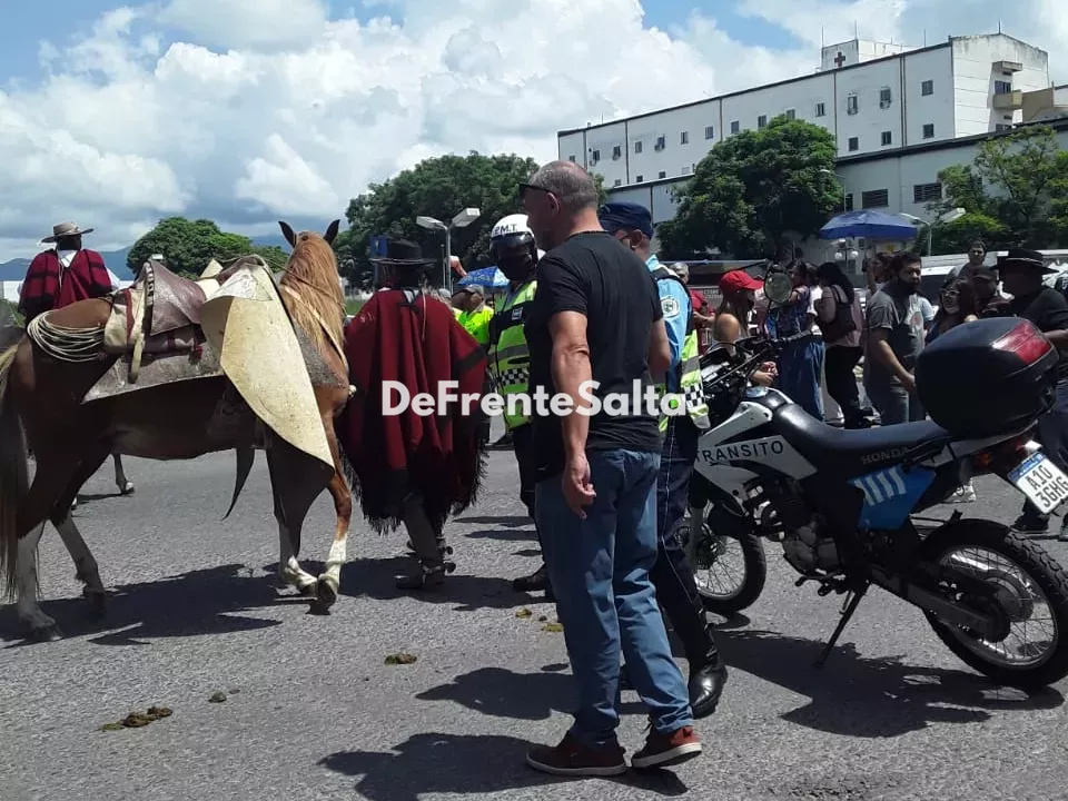 caballo p
